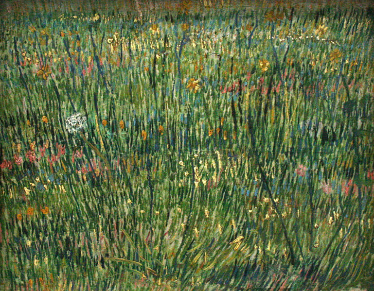 Vincent Van Gogh - Grasgrond patch of grass