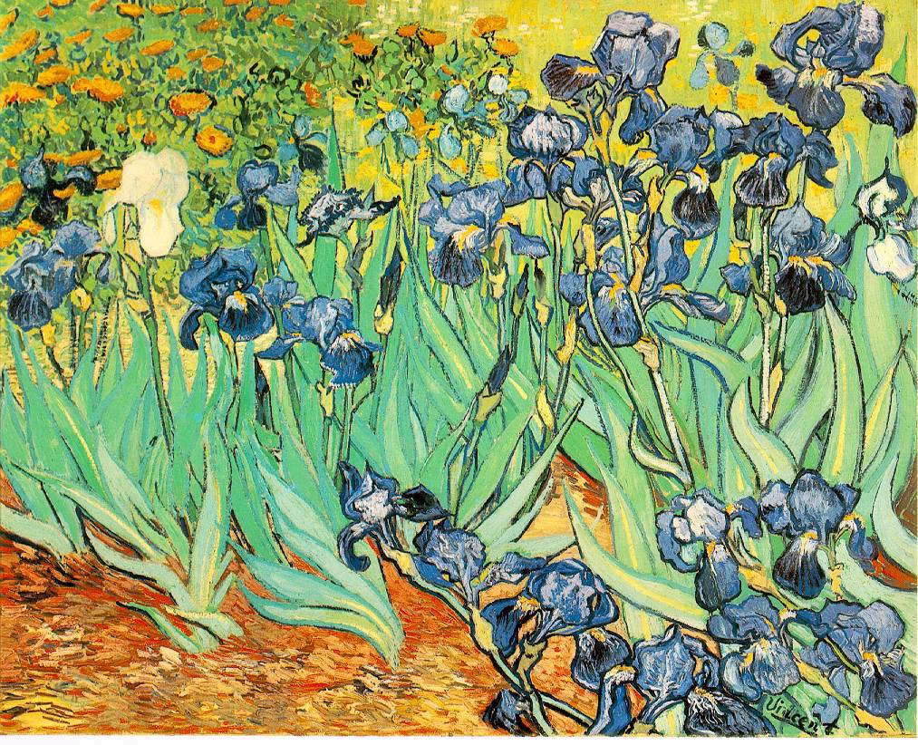 Vincent Van Gogh - Irises 01