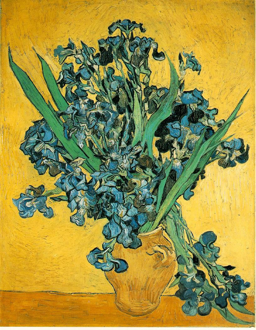 Vincent Van Gogh - Irises 03